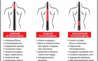 Болит в спине как укус