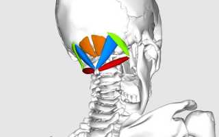 Болит голова шея лфк