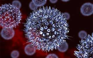 Заложен нос голова болит горло болит но нет температуры что это