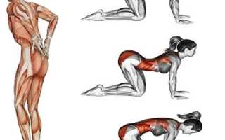 Растяжка для спины от болей