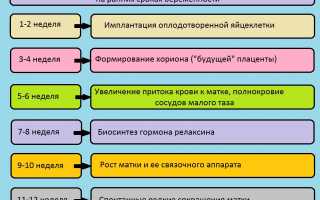 Беременность 3 недели болит живот и спина