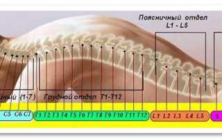 Психические причины болей в спине