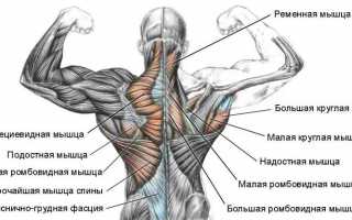 Что нужно делать когда болят мышцы спины