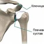 плечевой сустав