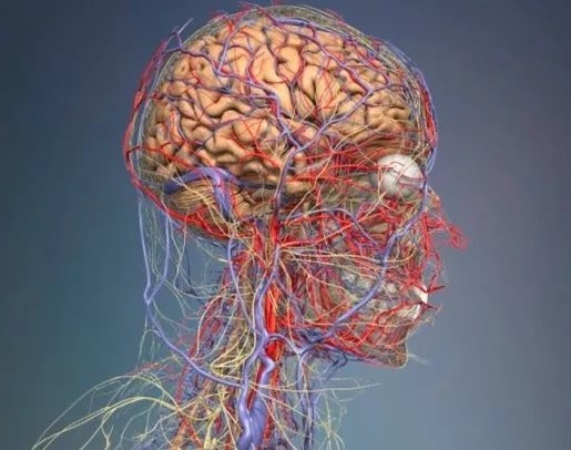 Беременная болит голова сильно