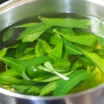 Полоскание горла при беременности