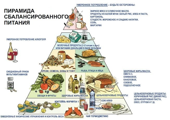 Особенности сбалансированного питания Пирамида сбалансированного питания