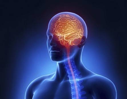 Отчего у мужчины может болеть голова