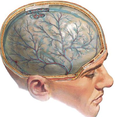 При температуре может болеть спина
