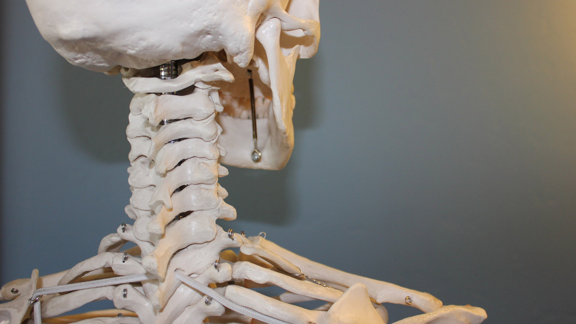 межпозвоночная грыжа боль в спине