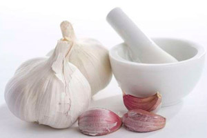 чеснок чеснок