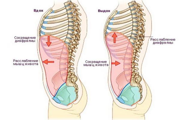 Почему при вдохе могут болеть почки