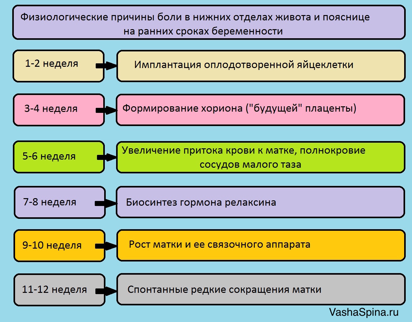 беременность 3 недели болит живот и спина